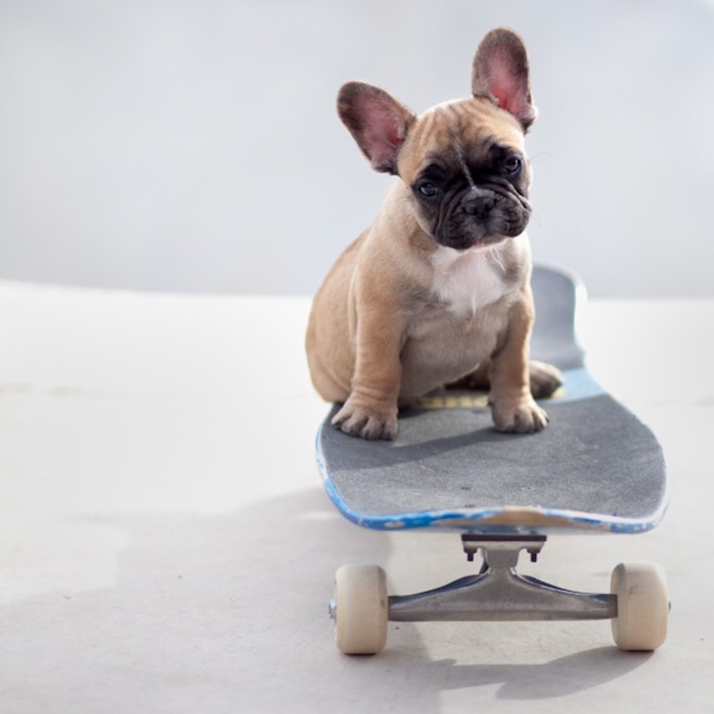 Meet your Posher, Diane